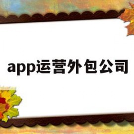 app运营外包公司(app外包公司的主要盈利方式有哪些)