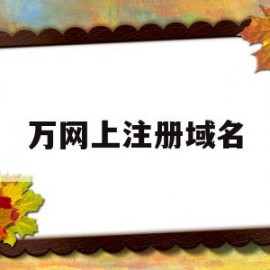 万网上注册域名(万网注册域名的步骤)