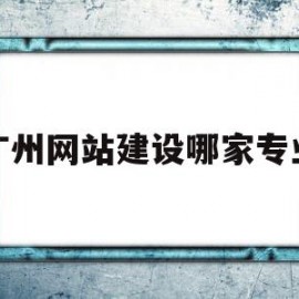 广州网站建设哪家专业(广东广州网点快速网站建设)