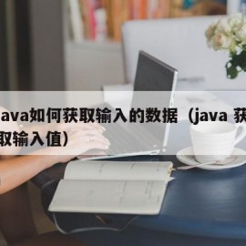 java如何获取输入的数据（java 获取输入值）