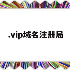 .vip域名注册局(com域名注册局官网)