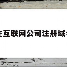 在互联网公司注册域名(注册域名用个人还是公司好)