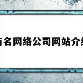 有名网络公司网站介绍(有名网络公司网站介绍怎么写)