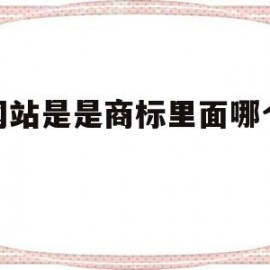 做网站是是商标里面哪个类别(网站商标属于多少类)