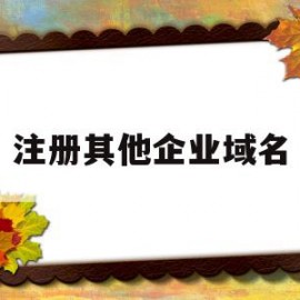 注册其他企业域名(企业注册域名是什么)