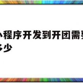 包含从小程序开发到开团需要投资多少的词条