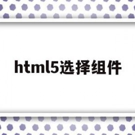 html5选择组件(html5 web组件)