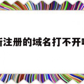 关于新注册的域名打不开啊的信息