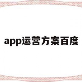 app运营方案百度(app运营流程是什么)