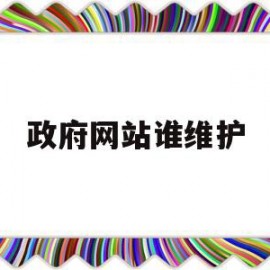 政府网站谁维护(政府网站谁维护好)
