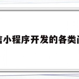 微信小程序开发的各类问题(微信小程序开发的各类问题是什么)