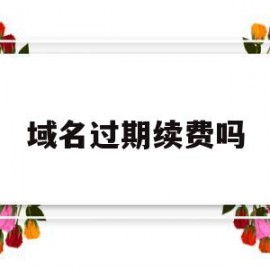 域名过期续费吗(域名过期多少天)