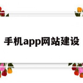 手机app网站建设(如何建手机app网站)