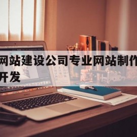 网站建设公司专业网站制作开发(网站建设公司专业网站制作开发方案)