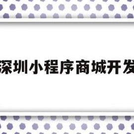 深圳小程序商城开发(深圳小程序商城制作)