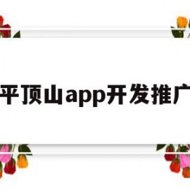 平顶山app开发推广(平顶山软件站)