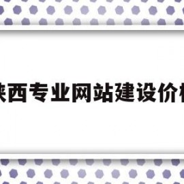 陕西专业网站建设价格(陕西建设项目在线审批平台)