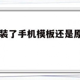dz装了手机模板还是原始的(dz是什么意思)