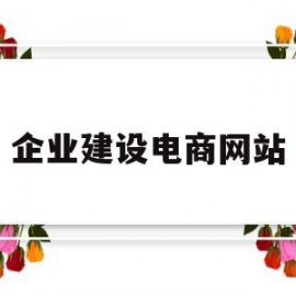 企业建设电商网站(电商网站建设平台)