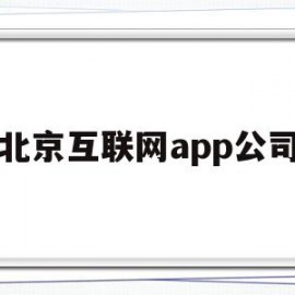 北京互联网app公司(北京互联网公司前10强有哪些)