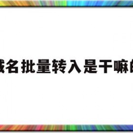 域名批量转入是干嘛的(域名批量查询工具 支持自定义)