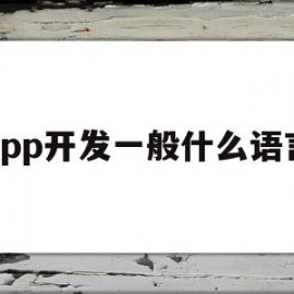 app开发一般什么语言(app开发一般什么语言比较好)