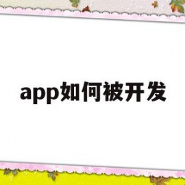 app如何被开发(app如何开发的)