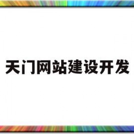 天门网站建设开发(网站建设开发外包公司)