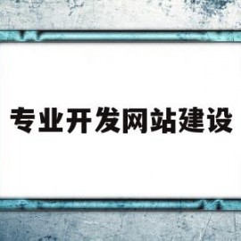 专业开发网站建设(专业开发网站建设流程)