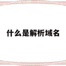 什么是解析域名(网站解析域名ip)