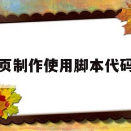 网页制作使用脚本代码时(在网页上运行脚本)