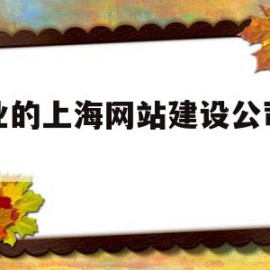 关于专业的上海网站建设公司排名的信息