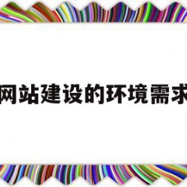 网站建设的环境需求(建设网站的需求分析)