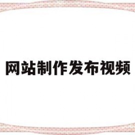 网站制作发布视频(网站上发布视频如何赚钱)