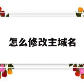 怎么修改主域名(怎么修改主域名和副域名)