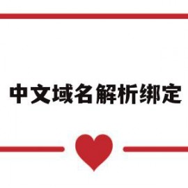 中文域名解析绑定(中国域名解析服务器)