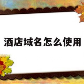 酒店域名怎么使用(酒店域名怎么使用商标)