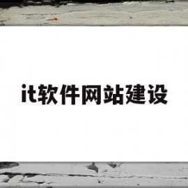 it软件网站建设(厂家软件开发企业网站建设)