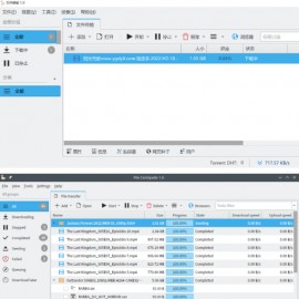 文件蜈蚣-全能下载工具可替代迅雷