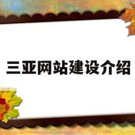 包含三亚网站建设介绍的词条