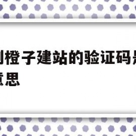 收到橙子建站的验证码是什么意思(橙子建站收集的电话怎么查看)