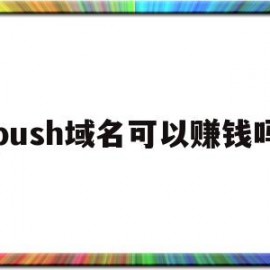push域名可以赚钱吗(push域名可以赚钱吗是真的吗)