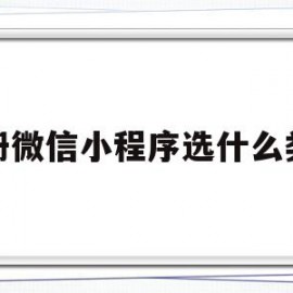 注册微信小程序选什么类型(注册微信小程序选什么类型账号)