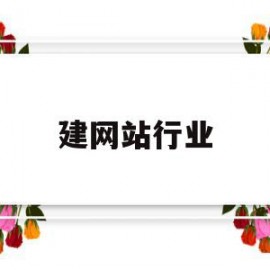 建网站行业(网站搭建公司的行业现状)