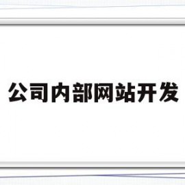 公司内部网站开发(企业内部网站建设)