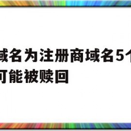 包含此域名为注册商域名5个月内可能被赎回的词条