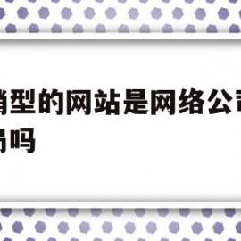 营销型的网站是网络公司的骗局吗(营销型网站的类型?)