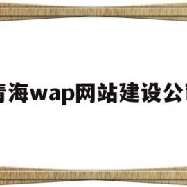 青海wap网站建设公司(青海网络公司)