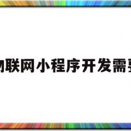 物联网小程序开发需要(物联网小程序开发需要多少钱)