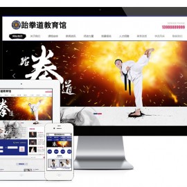 武术跆拳道培训类网站模板